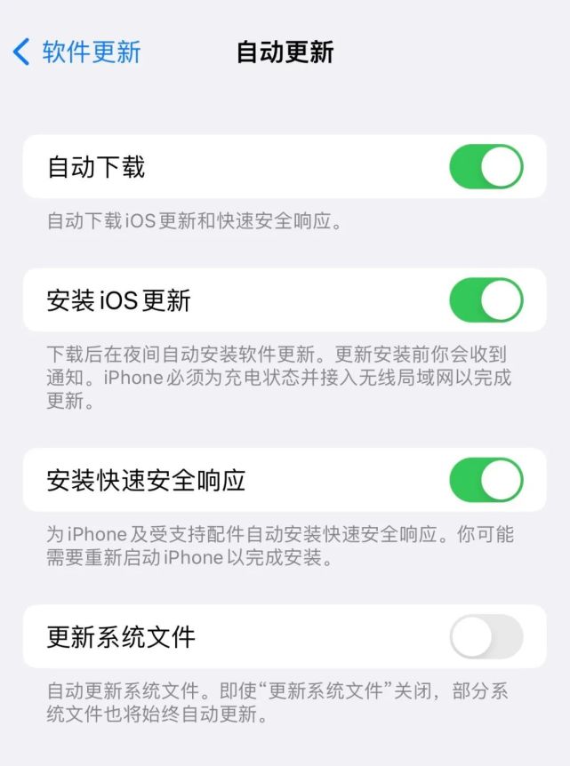 那坡苹果手机维修分享苹果快速安全响应更新有必要安装吗 